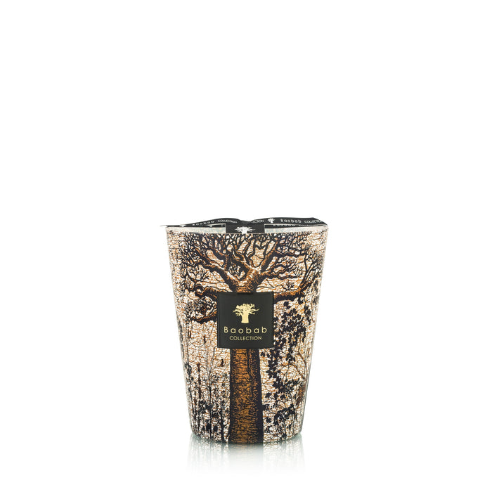 Baobob LG Sacred Trees Morondo Candle