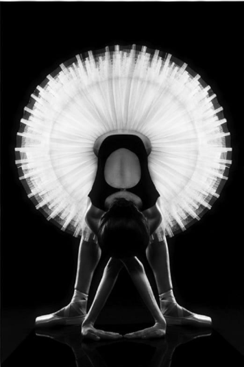 Feels Compose C Wall Art