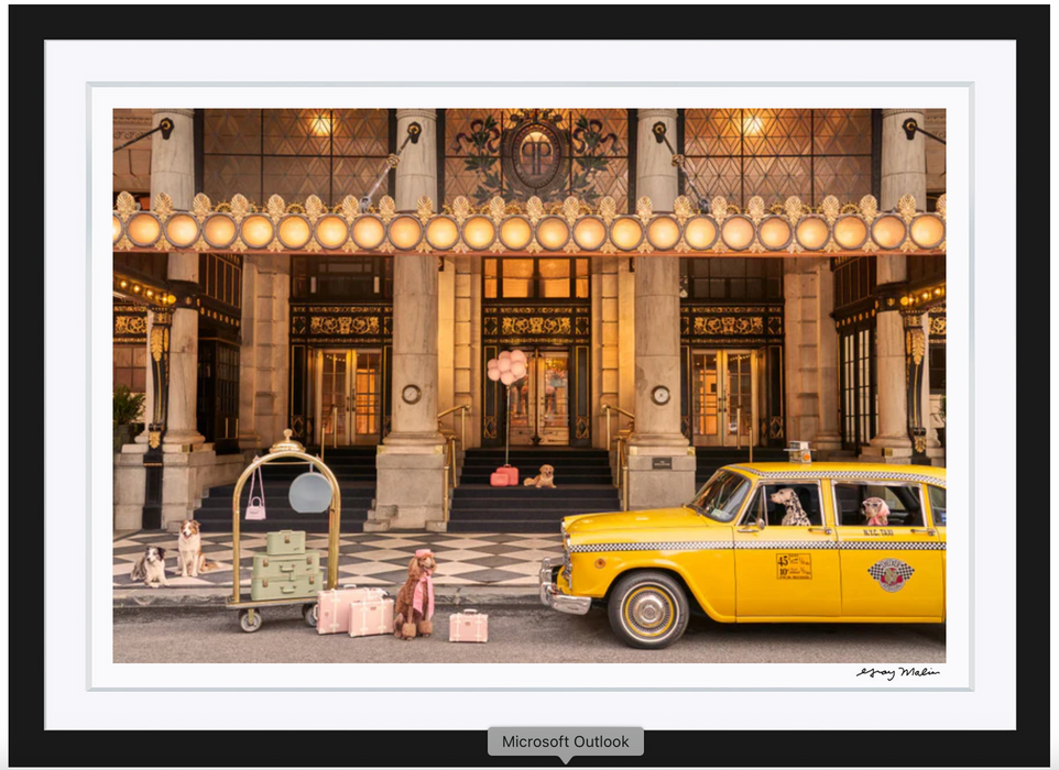 Welcome To The Plaza Hotel