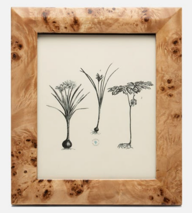Narvik Burl Frame