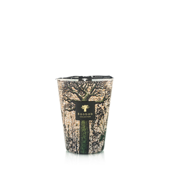 Baobob LG Sacred Trees Kani Candle